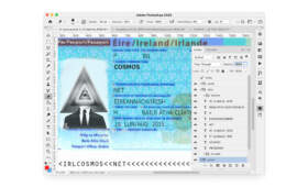 Ireland Passport