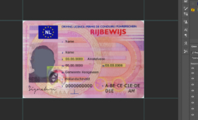 Driver license Netherlands